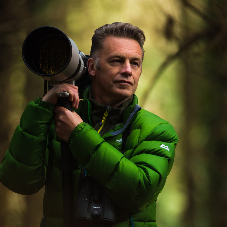 Chris Packham walking through the woods carrying a large camera